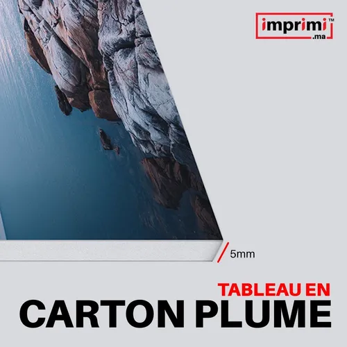 https://d3ozwmy1yzxuco.cloudfront.net/imprimionpusr/images/product/tableau-carton-plume_Large_Large.jpeg