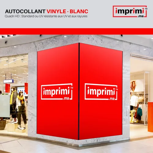 https://d3ozwmy1yzxuco.cloudfront.net/imprimionpusr/images/product/vinyle-blanc_Large_10484022202310.jpeg